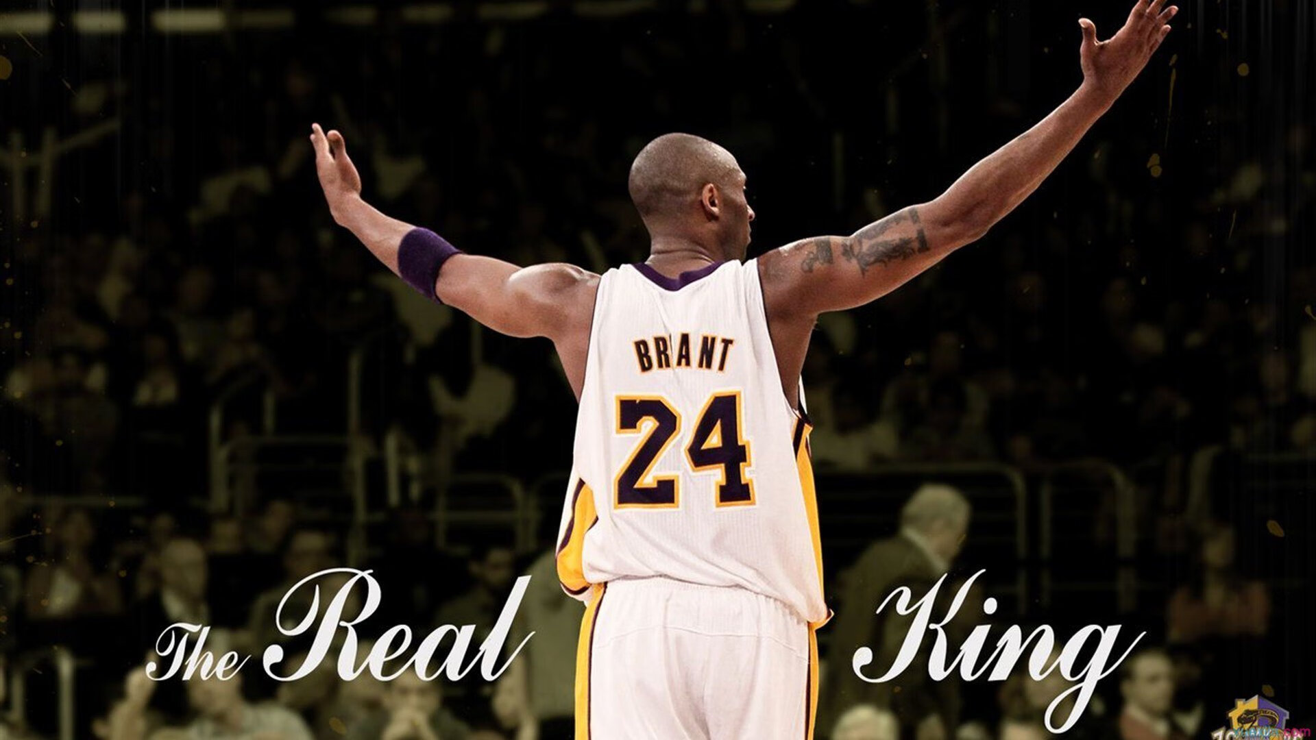 美网轻取拉沃尔杯,梅德韦杰夫高光表现背后的战术革命与心理突破